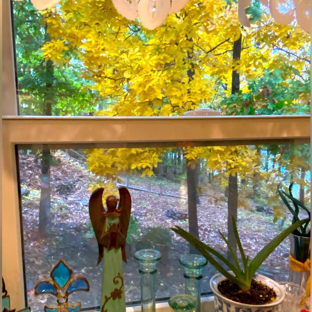 🍁It’s Fall!🍁 - Picture 2 of 4